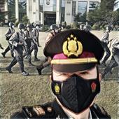 Heo Vàng