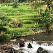 Trọng Lực B