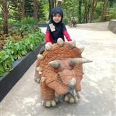 Kim Cương Của A