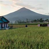 Kèo chấp tr