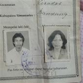 Lịch thi đấu vò