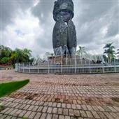 Trực tiếp b