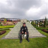 Các đội bón