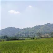 Cuộn Cầu Vòng