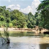 Nhận định b