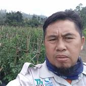 Mê cung tiền hu