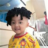 Năm Mới Lộ Lộ P