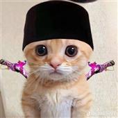 Tỷ số bóng rổ 7