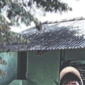 Đấu bò