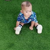 Lịch thi đấu qu