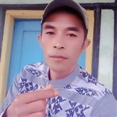 Phần mềm th