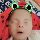 ĐƯỜNG BÁ HỔ ĐIỂ