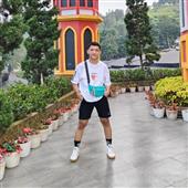 Cờ Ludo