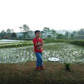 Trang Sức Vương