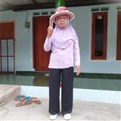 Lễ hội đèn 