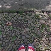 Bắt Cá Phát Tài