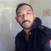 Các đội bón