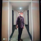 Cá mập vàng