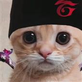 Đá Quý Dải 