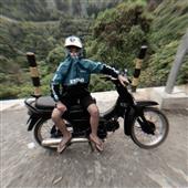 Các đội bóng vô