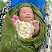 Vua của vinh qu