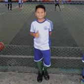 Các giải đấu es