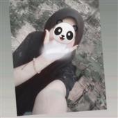 Cách làm cá độ 
