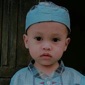 Nhiệt Đới Băng 