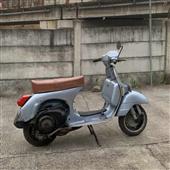 Cây Hái Ra Tiền