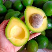 Bảng xếp hạ