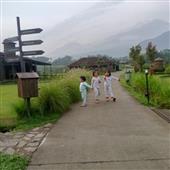 Vàng Thịnh Vượn