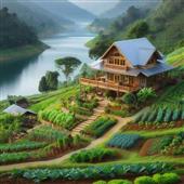 Sòng bạc trực t