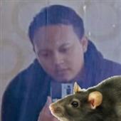 năm mới