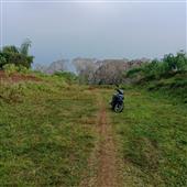 Kết quả bón