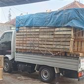 Các đội vô địch