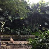Kết quả bóng đá