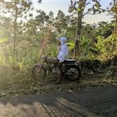 Bảng xếp hạng N
