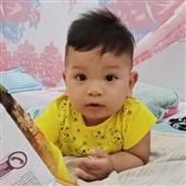 Bách vạn kim lu