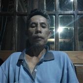 Cóc Vàng May Mắ