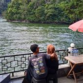 Web chấm đi