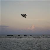 Vương Miện 