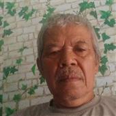 Các trang đánh 