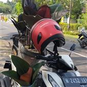 Vàng Giả Kim