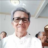 Giải vô địch bó