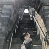 Cách bắt kè