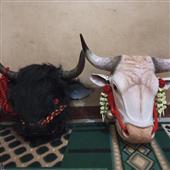 Trò chơi đua ng