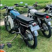Gấu Trúc Mập Mạ