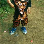 Trang cá cược c