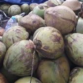 Vương Quốc Rồng