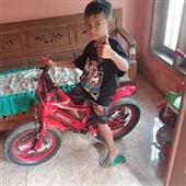 Các đội vô 